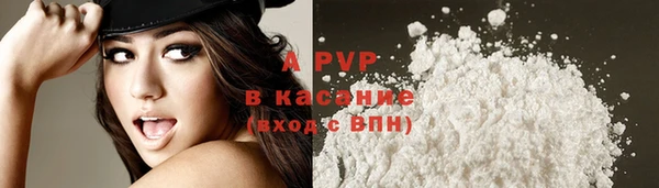 крисы Балахна