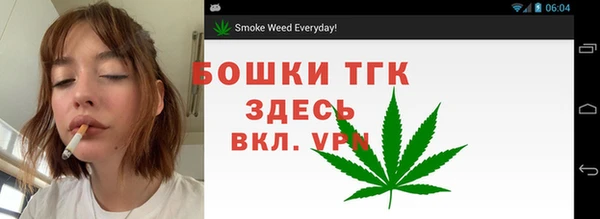 шишки Баксан