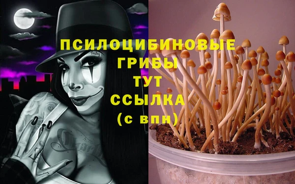 крисы Балахна
