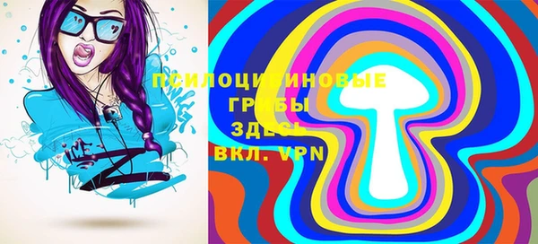 шишки Баксан