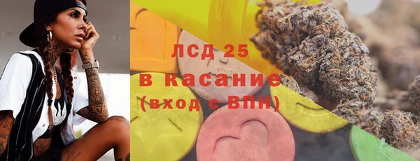 шишки Баксан